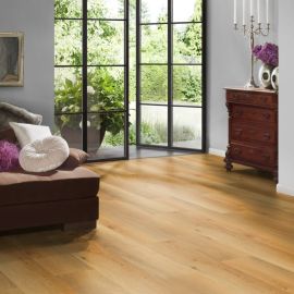Oak Catania soya2